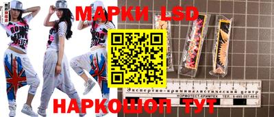 стафф Кандалакша