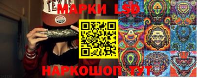 стафф Кандалакша