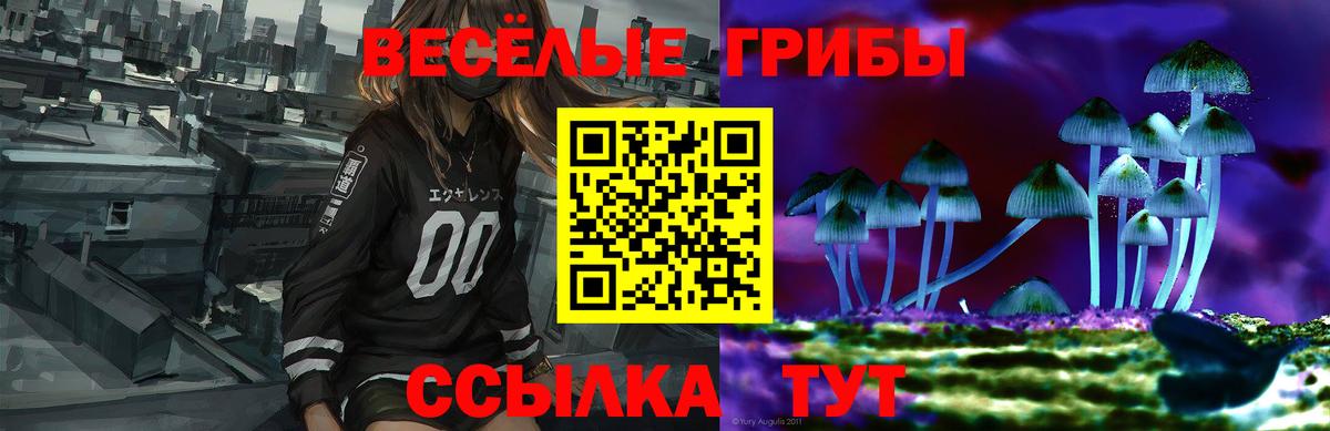 Лесозаводск  Псилоцибиновые грибы прущие грибы  Вход с VPN  Галлюциногенные грибы Psilocybine cubensis 